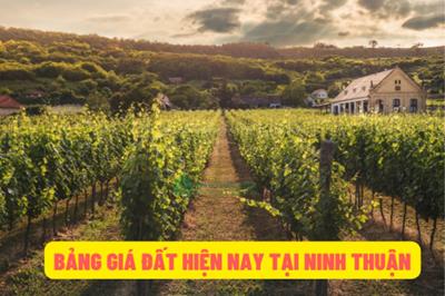 Bảng giá đất tại tỉnh Ninh Thuận giai đoạn năm 2020 đến năm 2024