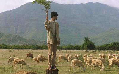 Đồng cừu An Hòa - Ninh Thuận lại thêm địa điểm “check-in” lý tưởng