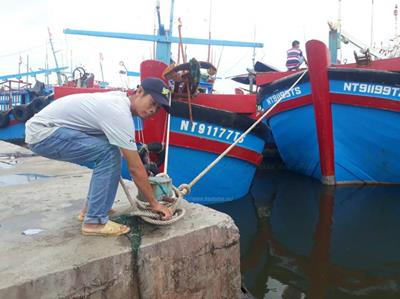 Tạm dừng hoạt động Cảng cá Đông Hải Ninh Thuận