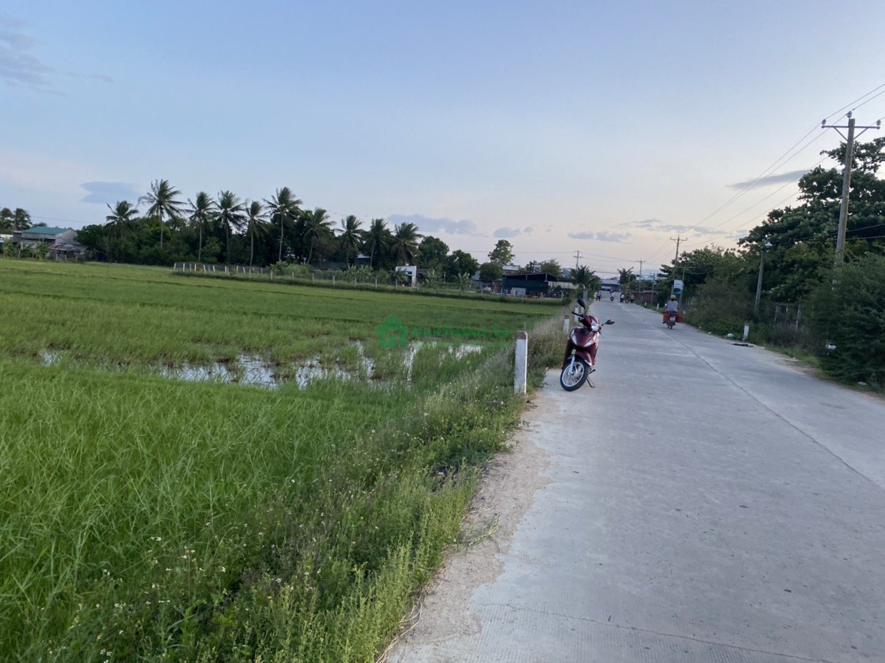 Chính Chủ cần tiền ra gấp lô đất lúa 1019 m2 tại Thôn Lương Cang