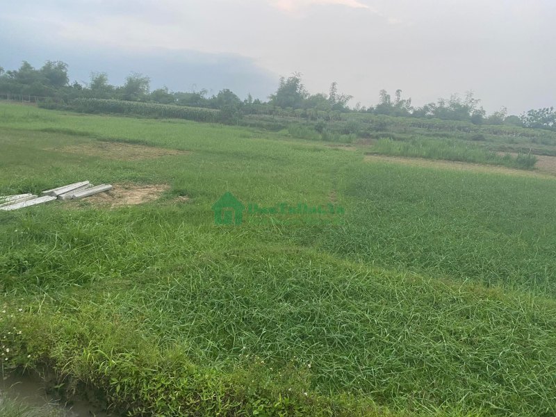 Chính chủ cần bán lô đất lúa 1200m2 gần Chợ Lương Cang
