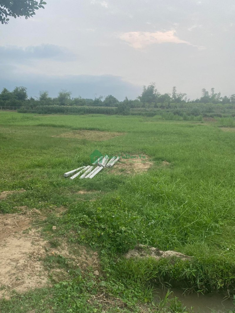 Chính chủ cần bán lô đất lúa 1200m2 gần Chợ Lương Cang