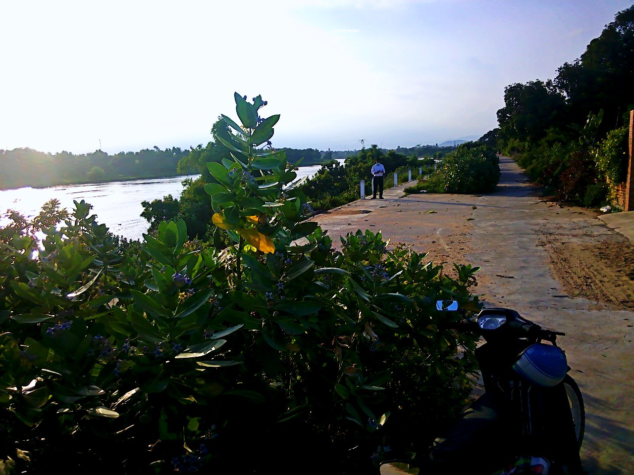 Cần ra nhanh lô đất view Sông Dinh Phan Rang Cực đẹp