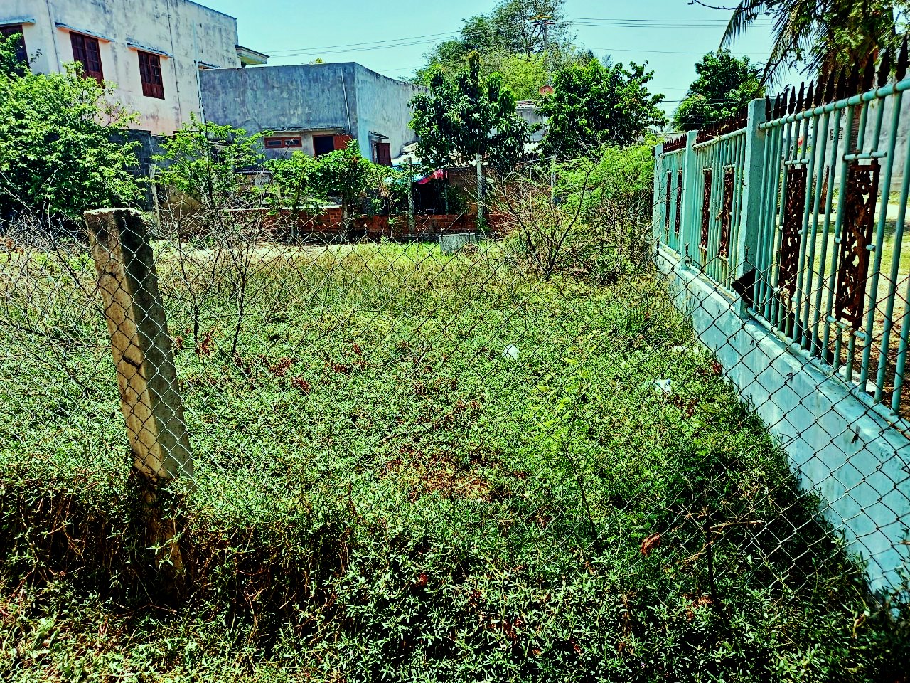 Cân bán lô đất Nền thôn Mỹ Tường, xã Nhơn Hải 95m2