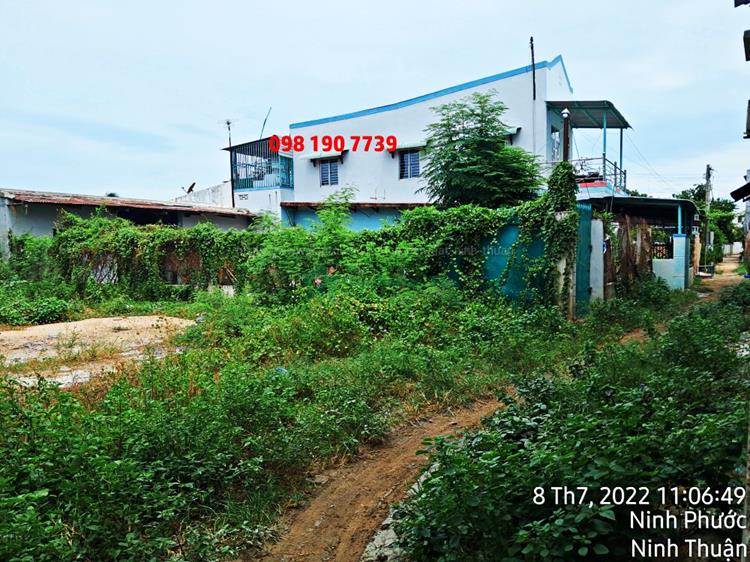 Bán đất khu thôn Long Bình, xã An Hải, huyện Ninh Phước