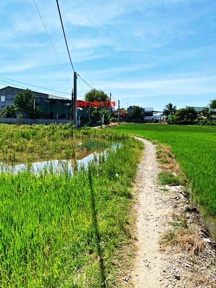 Bán đất khu An Thịnh, xã An Hải, huyện Ninh Phước