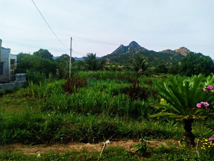 Mua Bán Nhà Đất Xã Phước Hải, huyện Ninh Phước, tỉnh Ninh Thuận