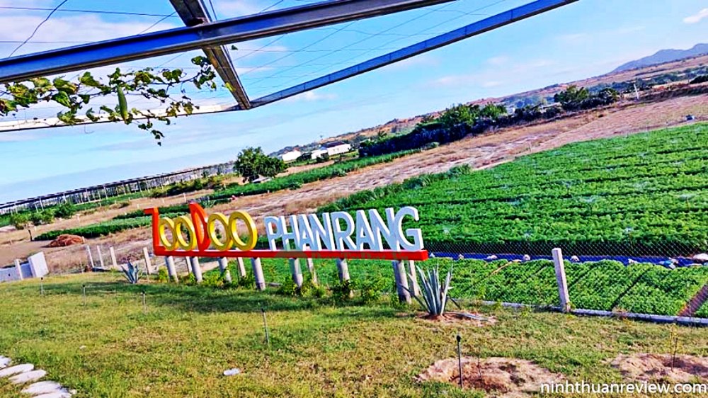 ZooDoo Phan Rang | Điểm thăm quan du lịch nổi tiếng Ninh Thuận