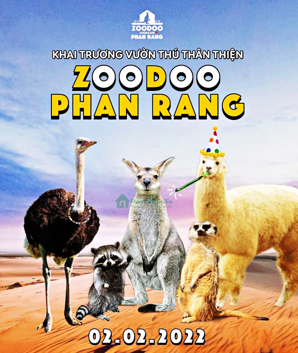 ZooDoo Phan Rang | Điểm thăm quan du lịch nổi tiếng Ninh Thuận