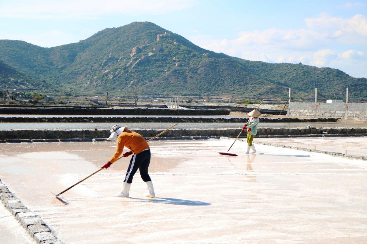 Vẻ đẹp ngỡ ngàng tráng lệ của những cánh đồng muối ở Ninh Thuận