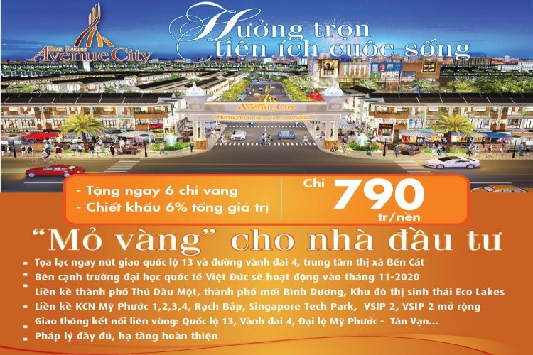 Giá bán của dự án Bình Dương Avenue City Việt Đức