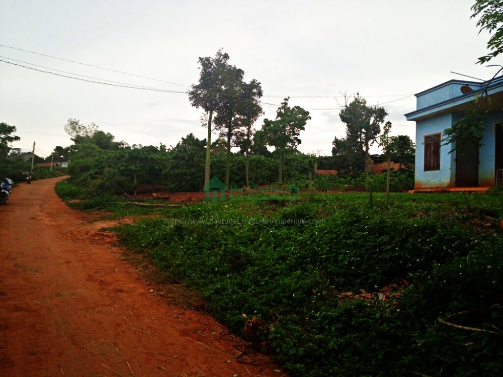 Đất vườn là gì Đất vườn chuyển thổ cư được không