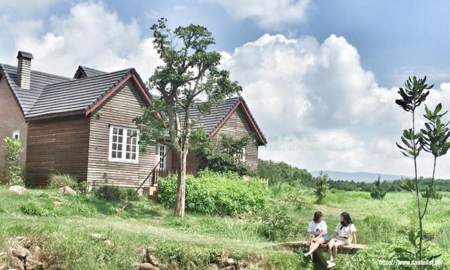 Dalat Milk Farm - Farm stay ở Đà Lạt