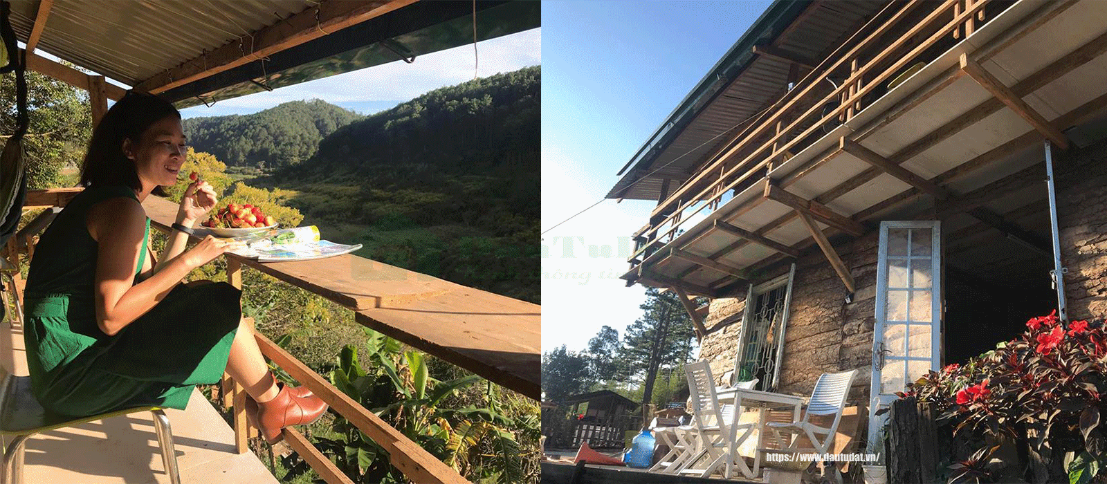 Dalat Discovery Farm stay & Campsite - Home stay nông trại Đà Lạt