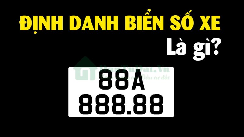 Biển số định danh là gì