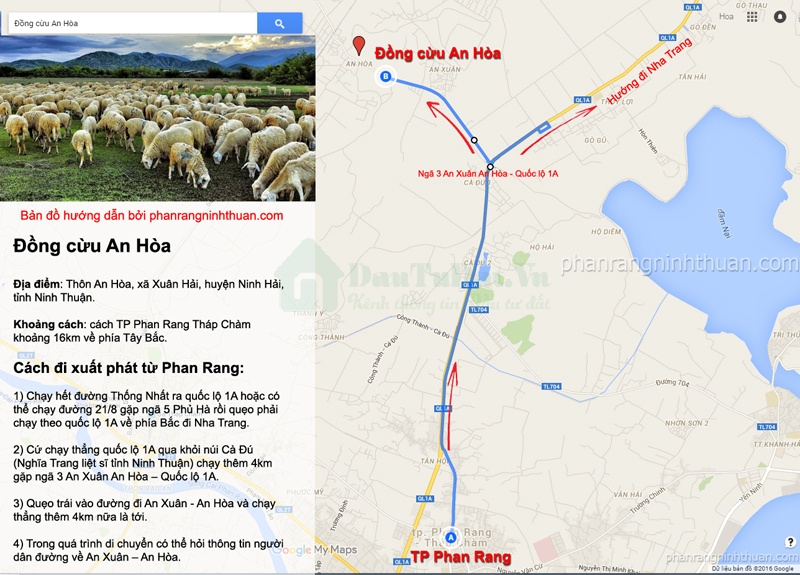 Vị trí Đồng cừu An Hòa Ninh Thuận 