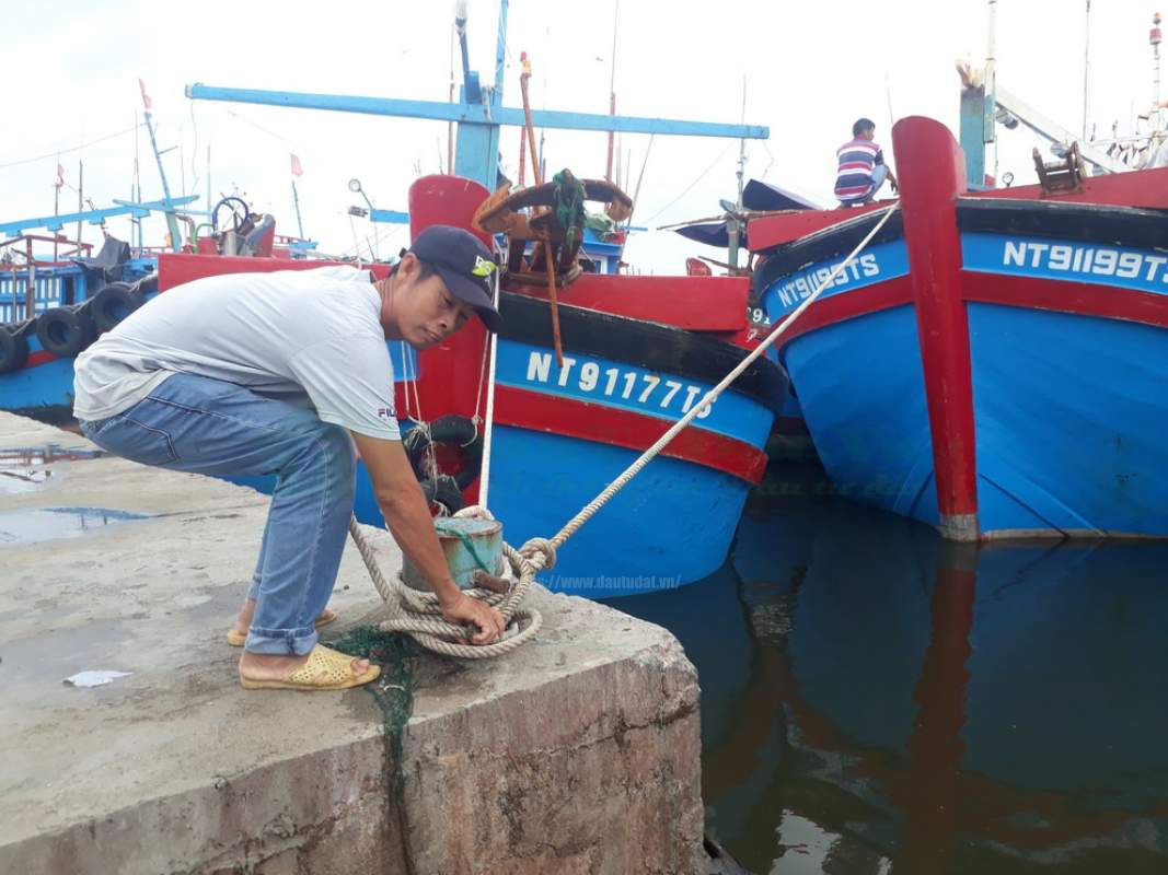 Tạm dừng hoạt động Cảng cá Đông Hải Ninh Thuận