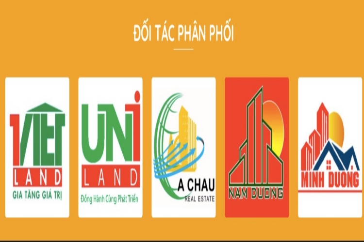 5 doanh nghiệp phát triển dự án Bình Dương Avenue City Việt Đức